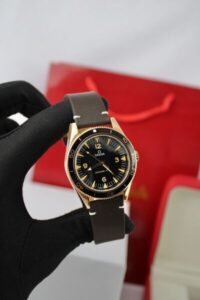 Omega Seamaster 300 Acero con Pulsera de Piel